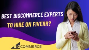 Best Bigcommerce Experts to Hire on Fiverr